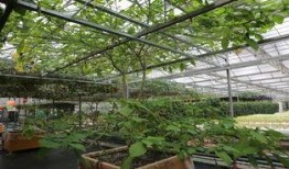 兰陵代村最新爆料,揭秘乡村振兴的代村模式